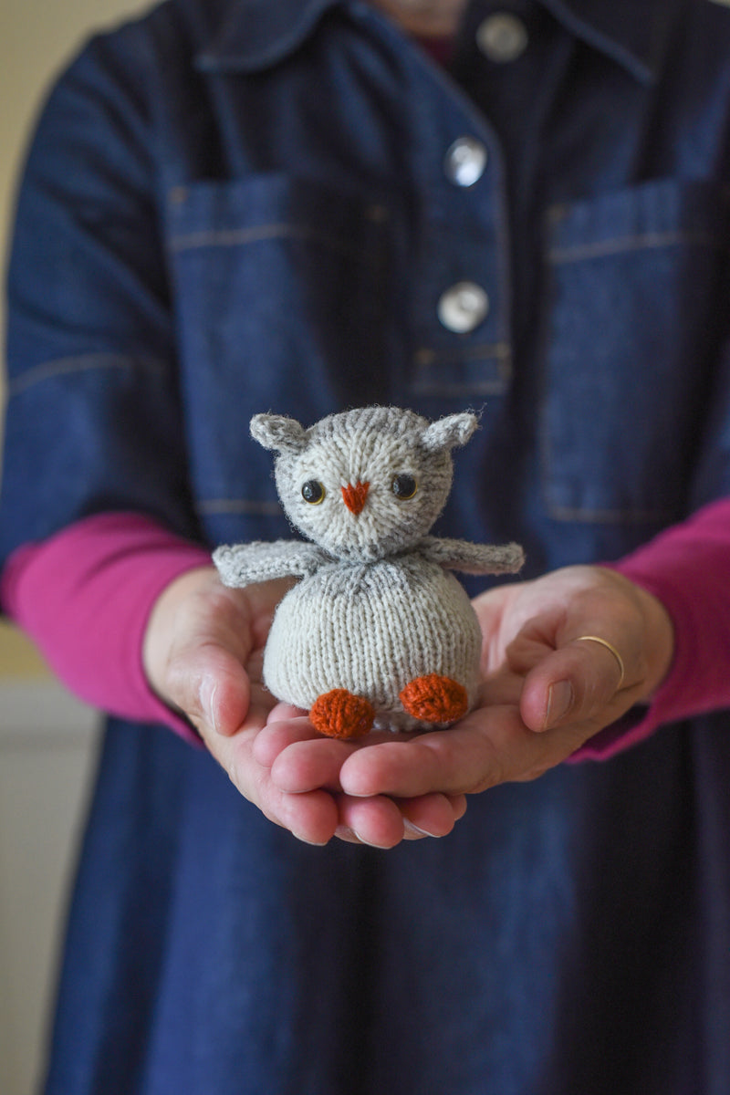 Woodland Egg and Owlet Kit – Barrett Wool Co.