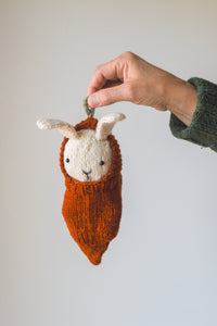 Bunny + Carrot Cozy Kit