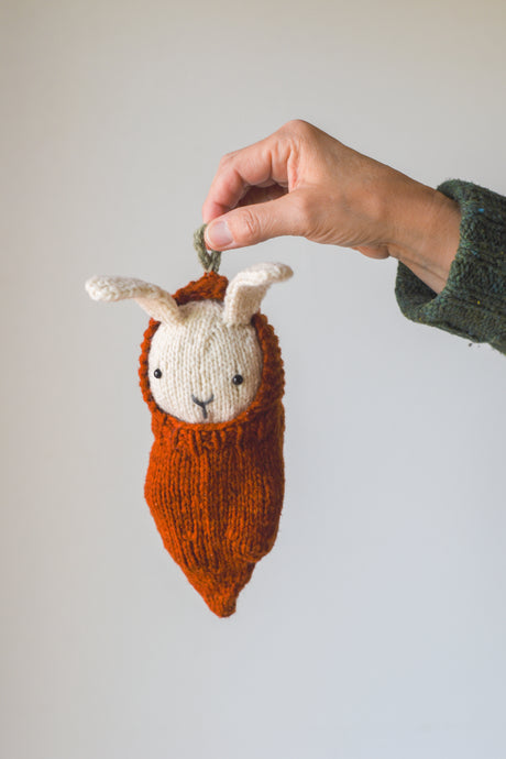 Bunny + Carrot Cozy Kit