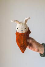 Bunny + Carrot Cozy Kit