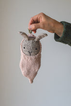 Bunny + Carrot Cozy Kit