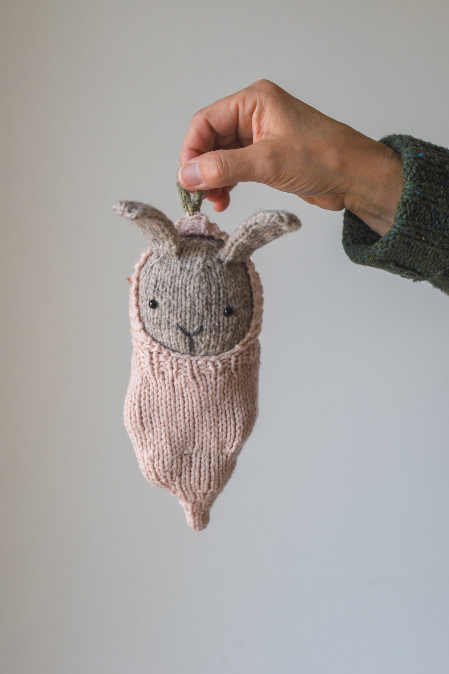 Bunny + Carrot Cozy Pattern
