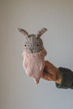Bunny + Carrot Cozy Kit
