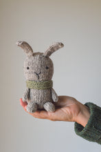 Bunny + Carrot Cozy Kit