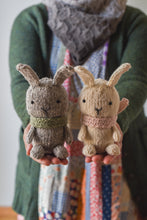 Bunny + Carrot Cozy Kit