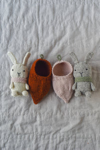 Bunny + Carrot Cozy Kit