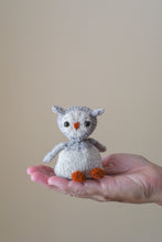 Woodland Egg and Owlet Kit