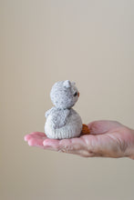 Woodland Egg and Owlet Kit