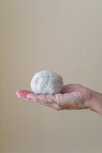 Woodland Egg and Owlet Kit