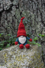 Woodland Gnome Kit