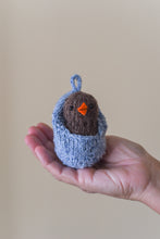 Chick + Egg Cozy Kit