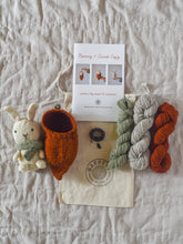 Bunny + Carrot Cozy Kit