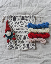 Woodland Gnome Kit
