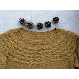 Little Twigs Sweater Kit