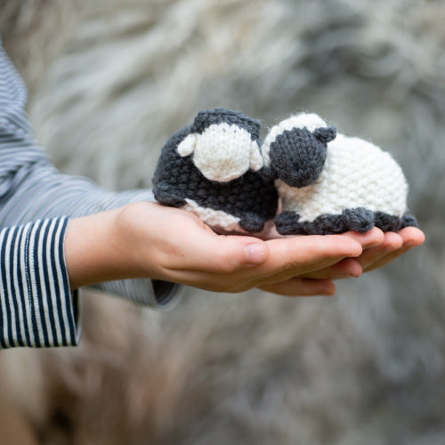 Black Sheep, White Sheep