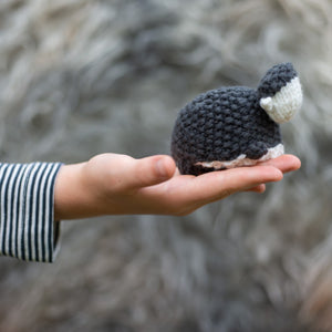 Black Sheep, White Sheep