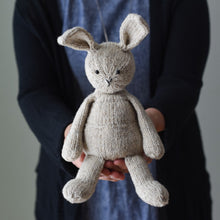 Christopher Bunny &amp; Hoodie Kit