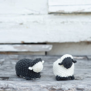 Black Sheep, White Sheep