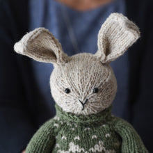 Christopher Bunny &amp; Hoodie Kit