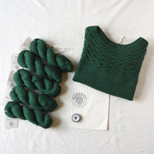 Little Twigs Sweater Kit