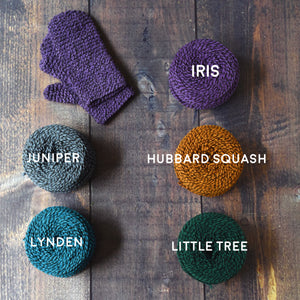 Counting Ridges Mitten Kit