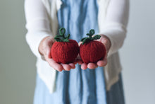 Summer Veggie Charm Set Kit
