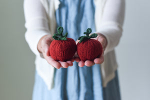 Summer Veggie Charm Set Kit