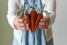 Summer Veggie Charm Set Kit