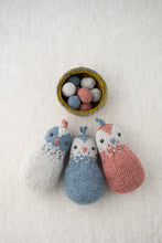 Simple Little Bird and Nest Kit