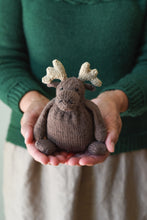 Mini-Moose Kit