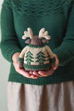 Mini-Moose Kit