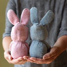 A Bear and A Bunny Suit Kit