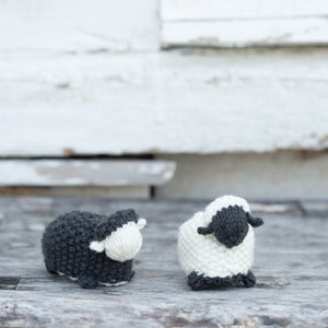 Black Sheep, White Sheep Kit