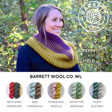 Barrett Wool Co.wl in Home Worsted Weight
