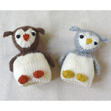 Egg to Owl Reversible Toy Kit